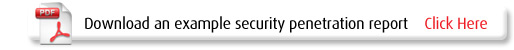 Example Website Report